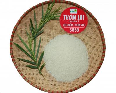 Thơm Lài 5858