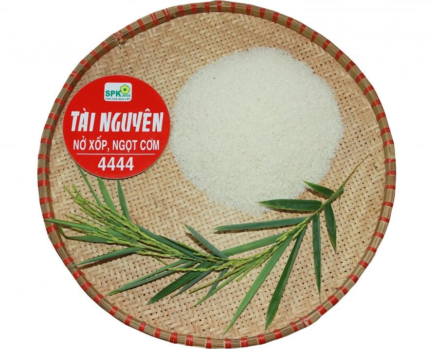 Tài Nguyên 4444