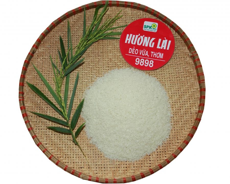 Hương Lài 9898